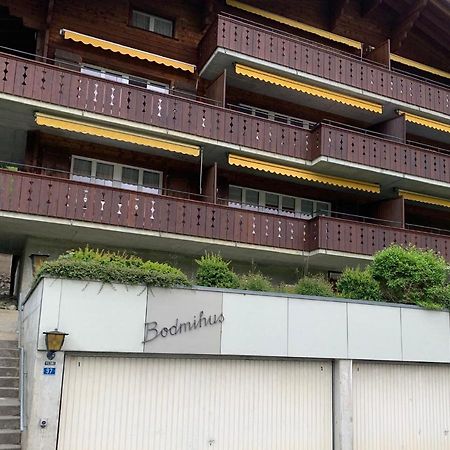 Luxury, New - Amazing Views Grindelwald Eiger Jungfrau Moench公寓 外观 照片