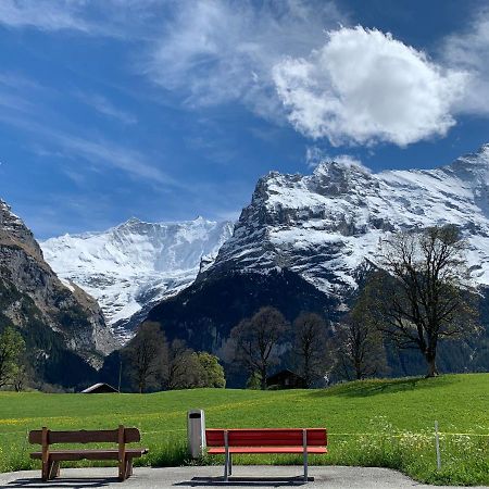 Luxury, New - Amazing Views Grindelwald Eiger Jungfrau Moench公寓 外观 照片
