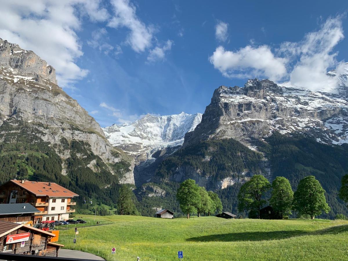 Luxury, New - Amazing Views Grindelwald Eiger Jungfrau Moench公寓 外观 照片