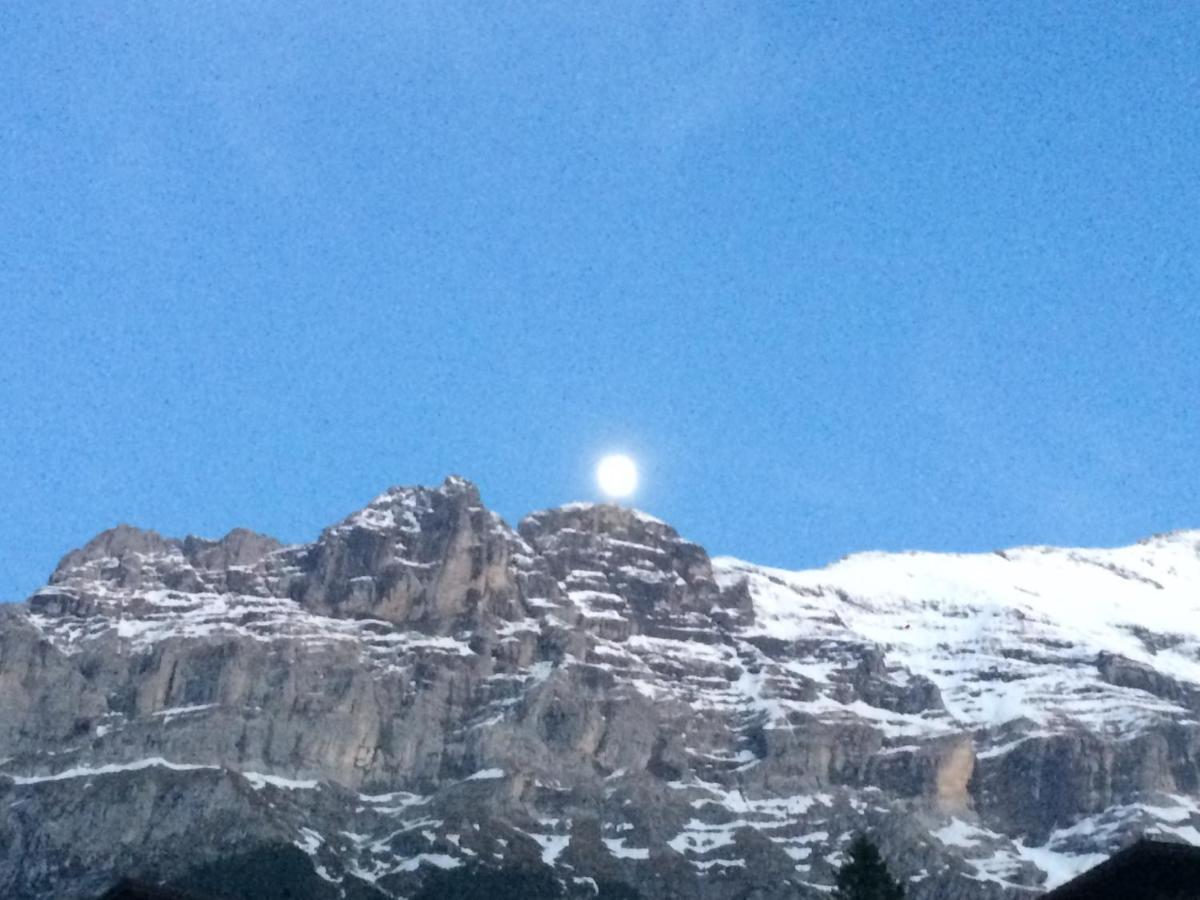 Luxury, New - Amazing Views Grindelwald Eiger Jungfrau Moench公寓 外观 照片