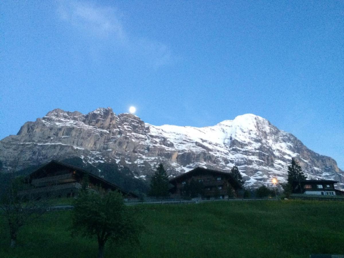 Luxury, New - Amazing Views Grindelwald Eiger Jungfrau Moench公寓 外观 照片
