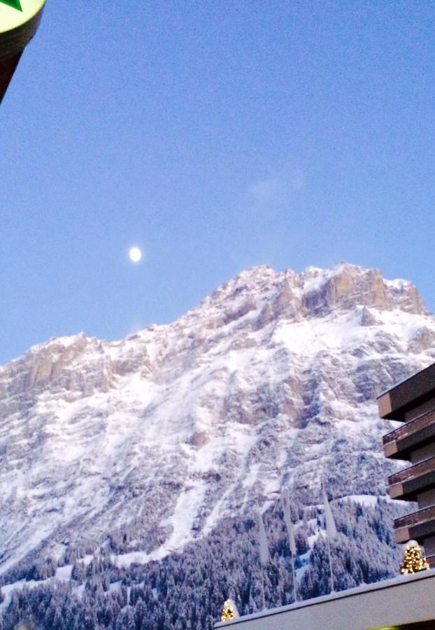 Luxury, New - Amazing Views Grindelwald Eiger Jungfrau Moench公寓 外观 照片