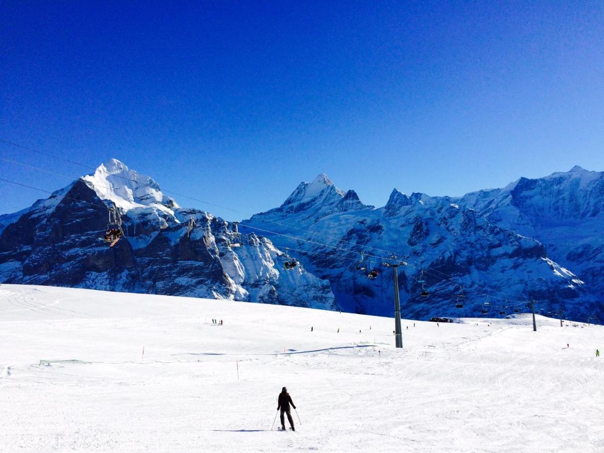 Luxury, New - Amazing Views Grindelwald Eiger Jungfrau Moench公寓 外观 照片