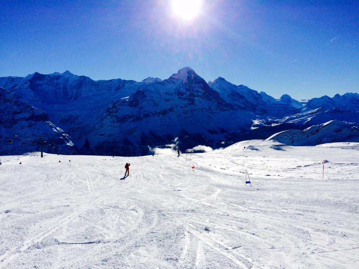 Luxury, New - Amazing Views Grindelwald Eiger Jungfrau Moench公寓 外观 照片