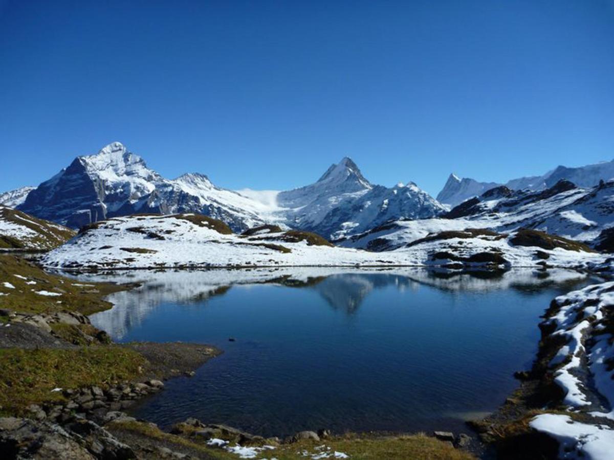Luxury, New - Amazing Views Grindelwald Eiger Jungfrau Moench公寓 外观 照片