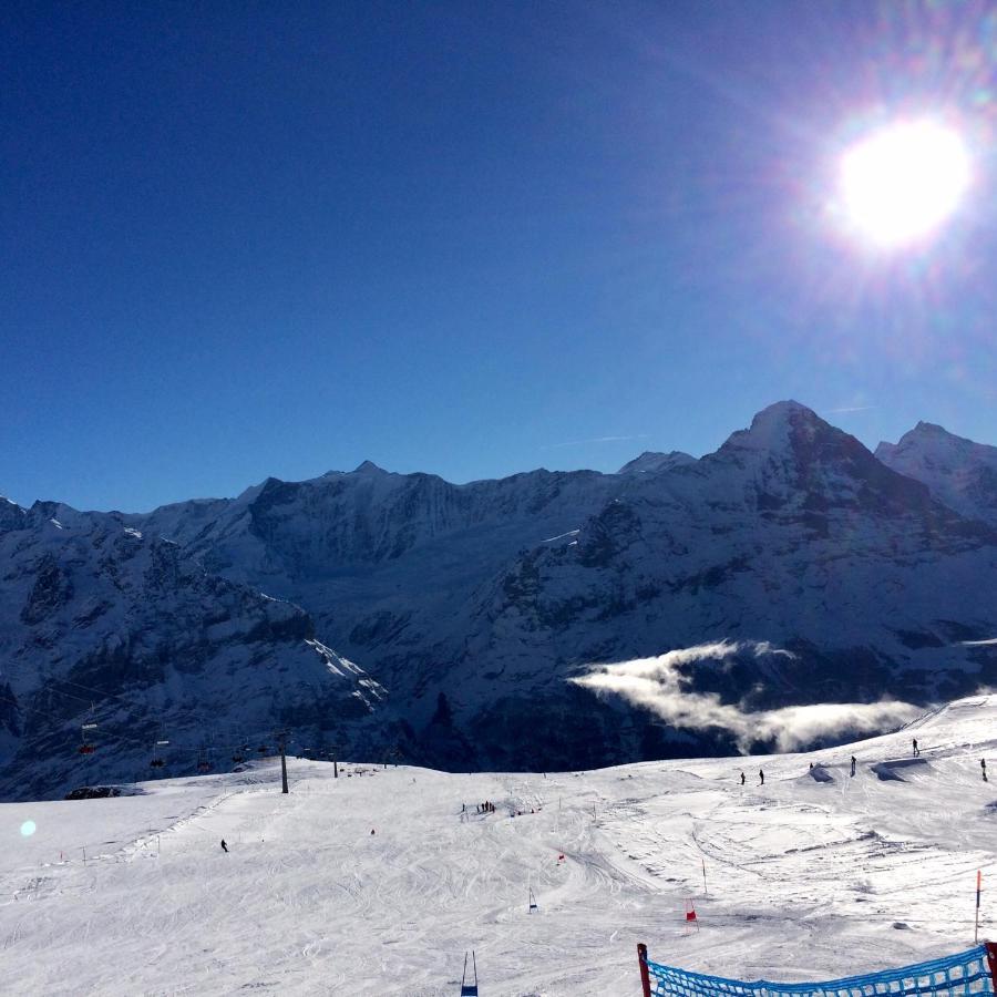 Luxury, New - Amazing Views Grindelwald Eiger Jungfrau Moench公寓 外观 照片
