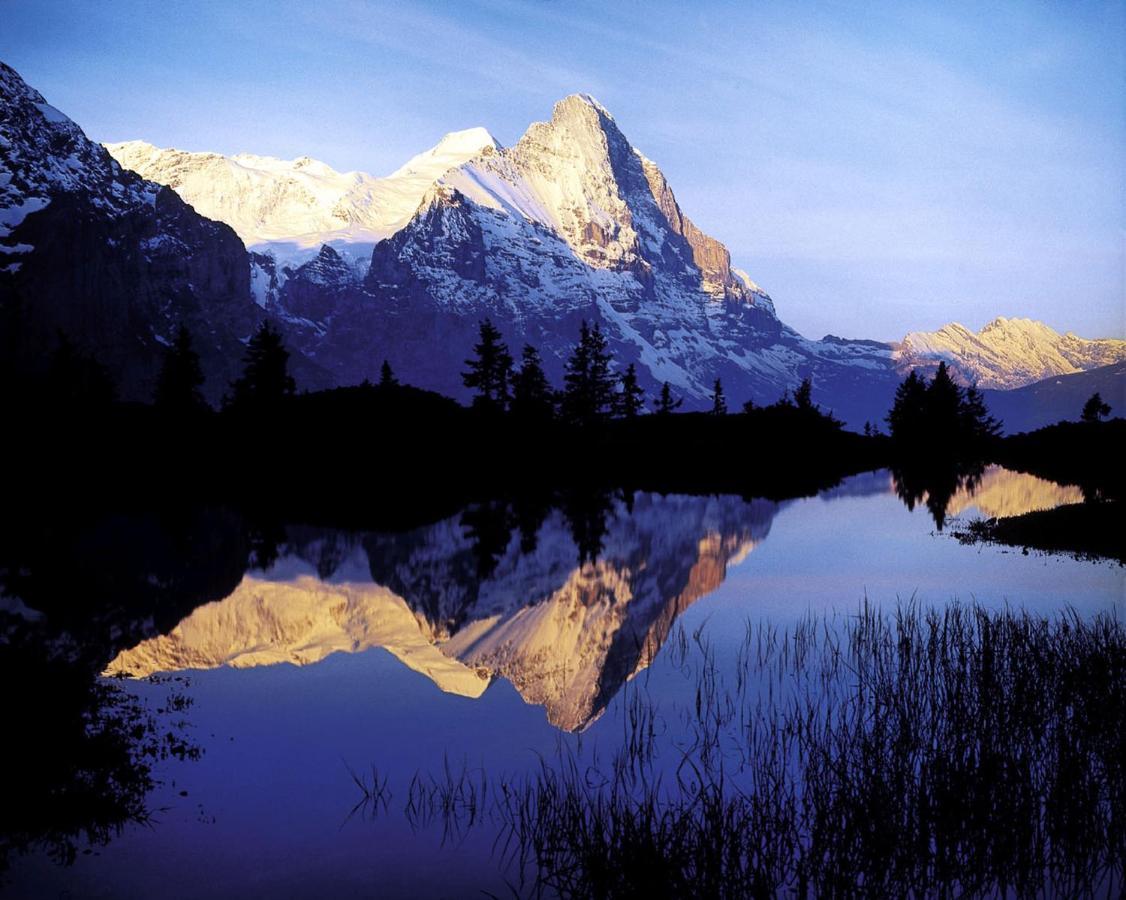 Luxury, New - Amazing Views Grindelwald Eiger Jungfrau Moench公寓 外观 照片