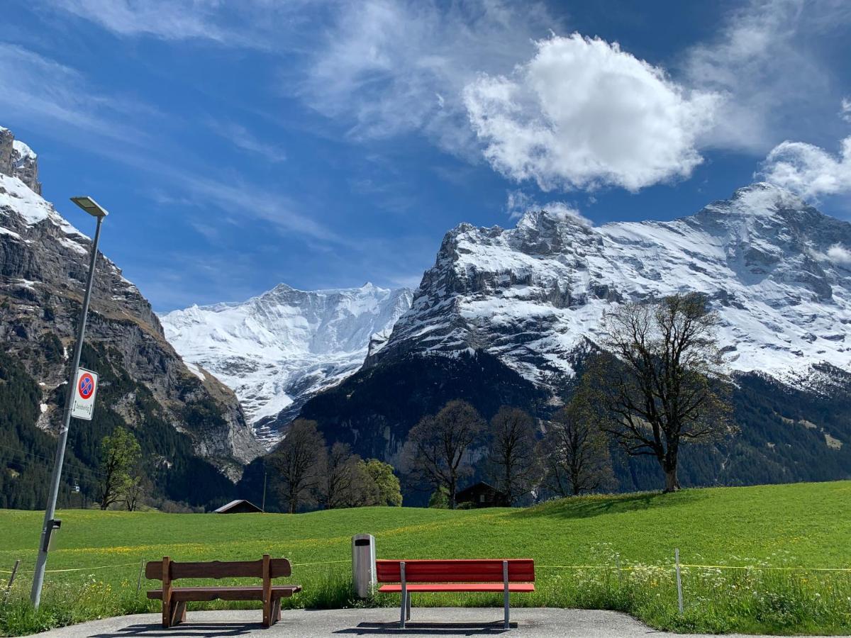 Luxury, New - Amazing Views Grindelwald Eiger Jungfrau Moench公寓 外观 照片